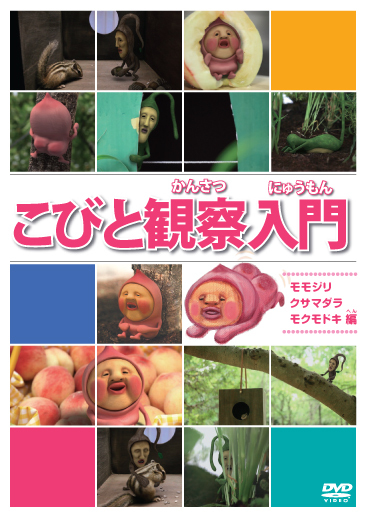 こびと観察入門 モモジリ クサマダラ モクモドキ編 | きゃにめ
