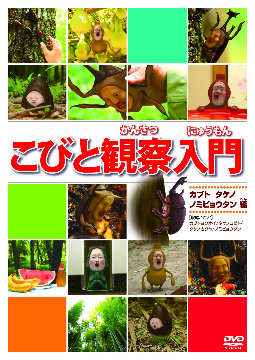 こびと観察入門 カブト タケノ ノミビョウタン編 | きゃにめ