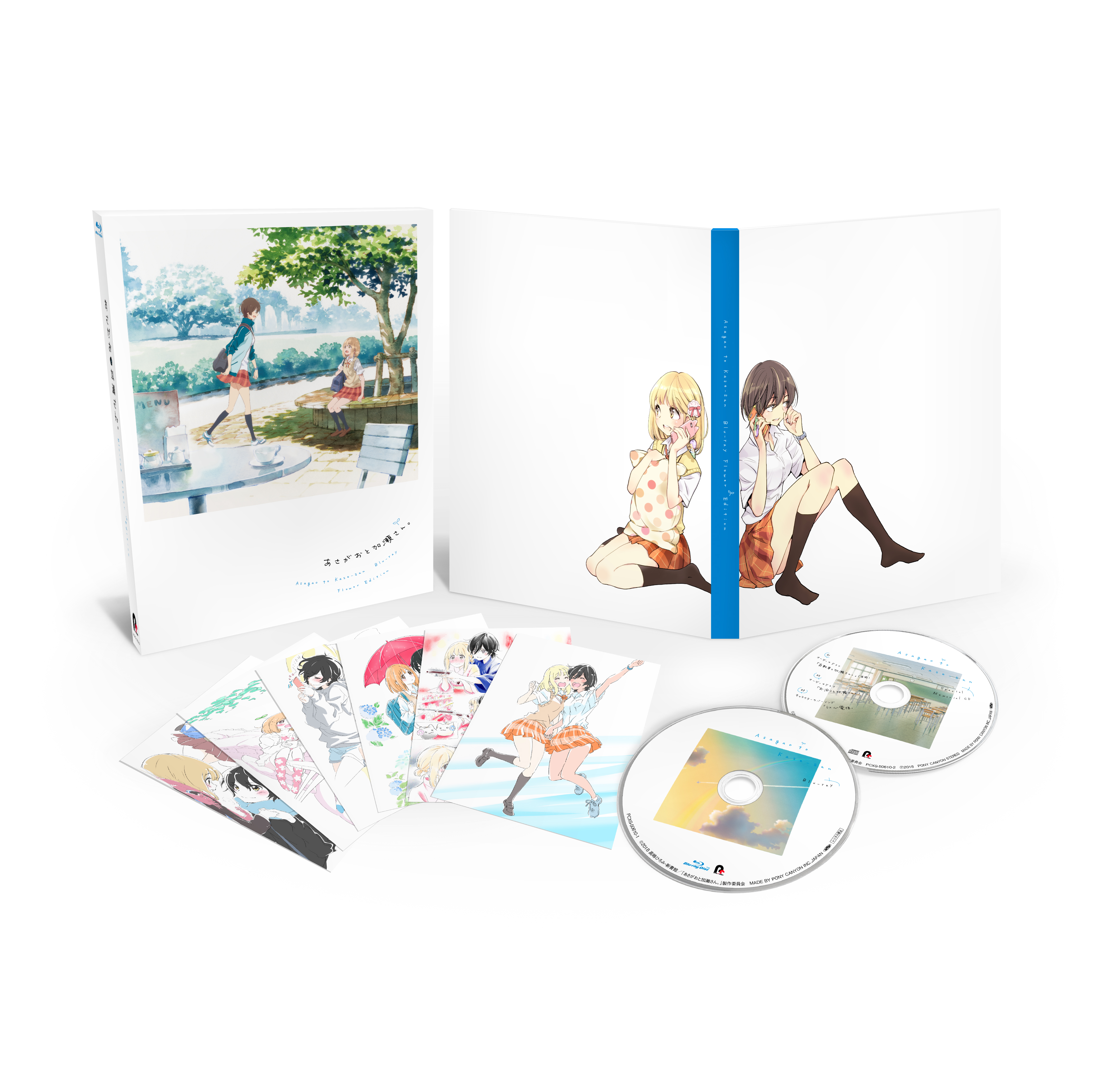 あさがおと加瀬さん。」Blu-ray Flower Edition【初回限定生産 