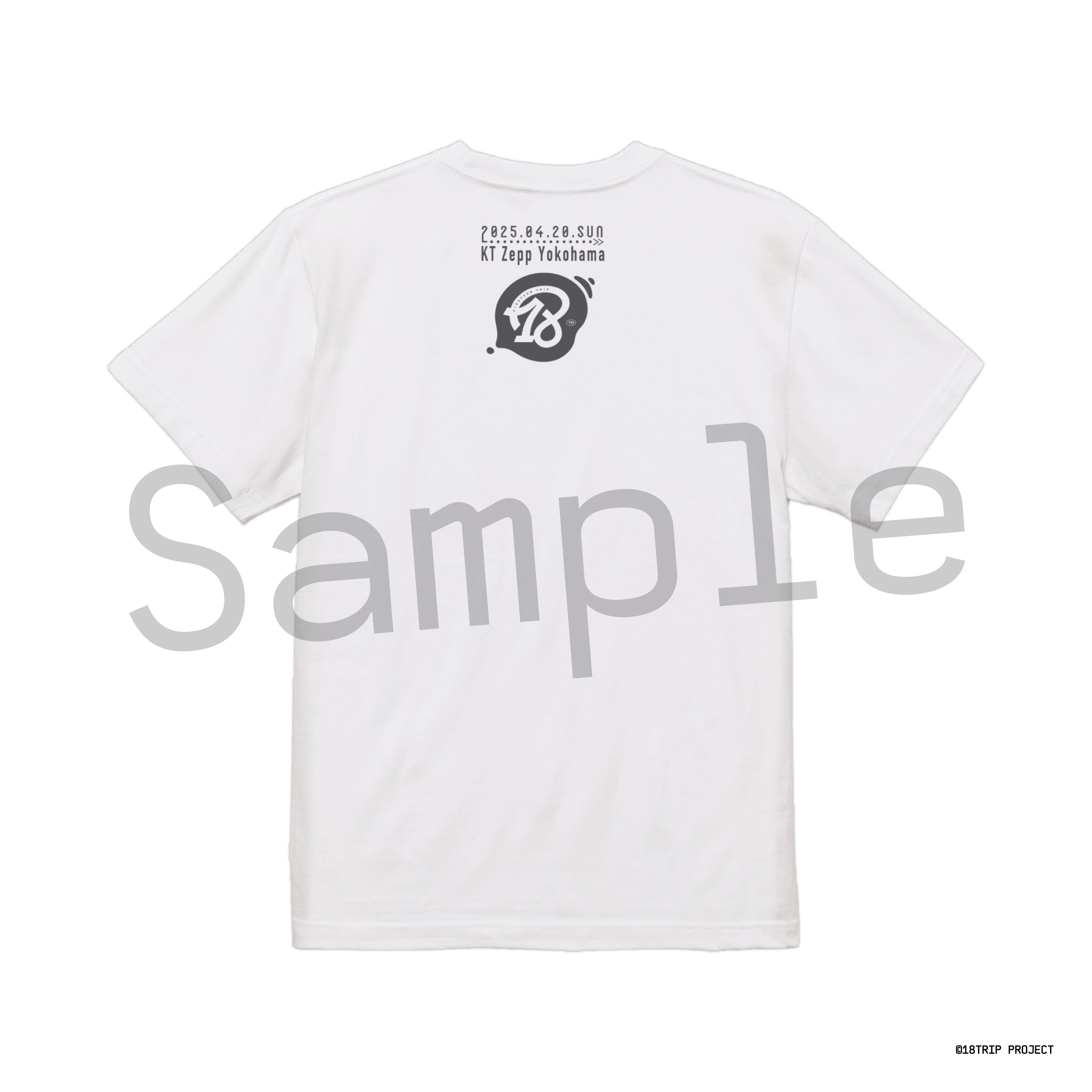 HANA タオル　Tシャツ 入手不可能】HANA デビューイベントTシャツXL タオルセット